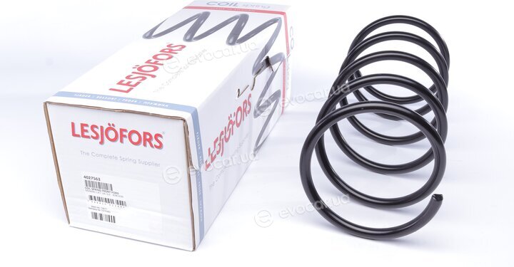 Lesjofors 4027563