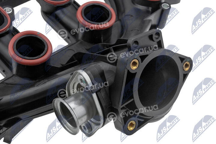 NTY BPZ-CT-011