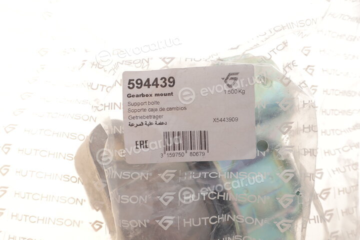 Hutchinson 594439