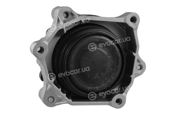 Tedgum TED99405