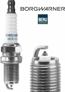 BorgWarner Z188
