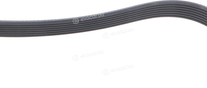 Dayco 7PK1370