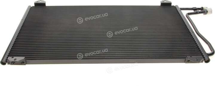 Solgy 309003