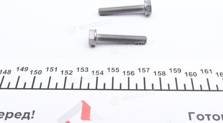 BorgWarner DS2010678
