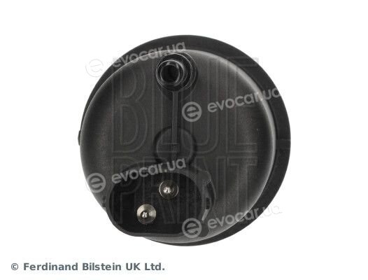 Blue Print ADBP230080