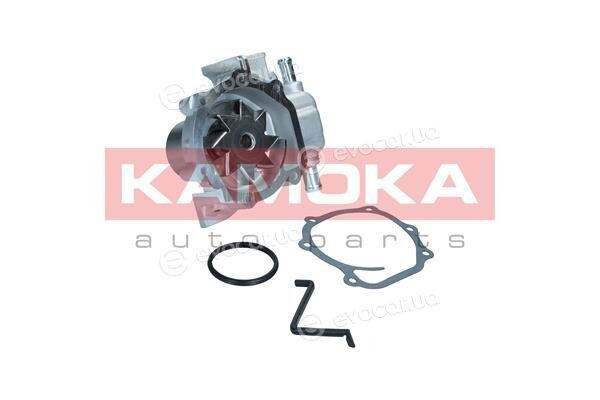 Kamoka T0313
