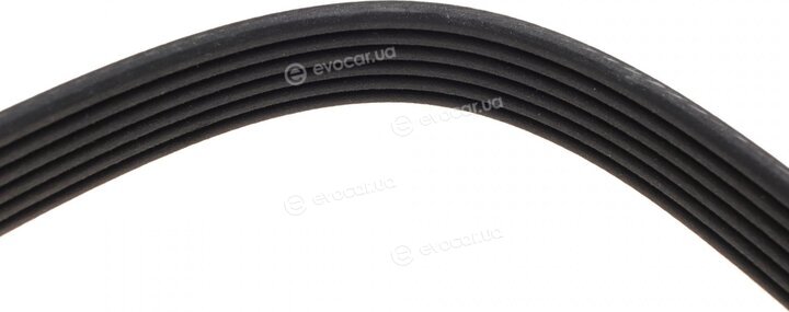 Dayco 6PK2145