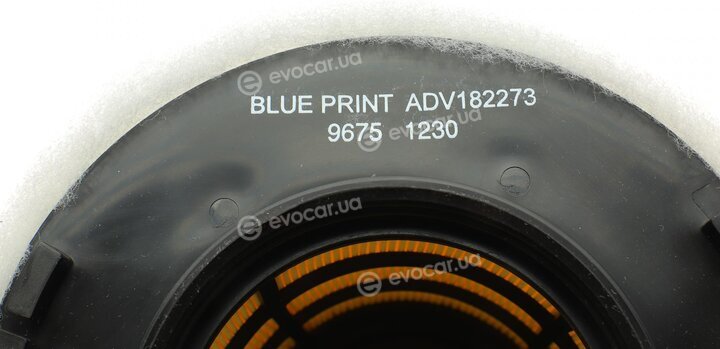 Blue Print ADV182273