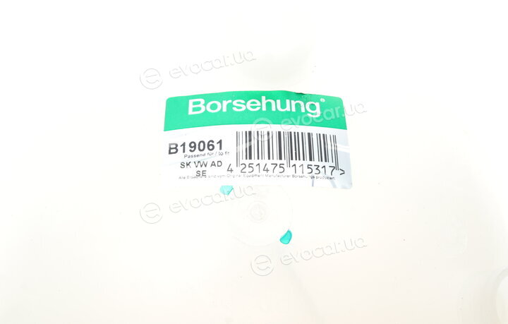 Borsehung B19061