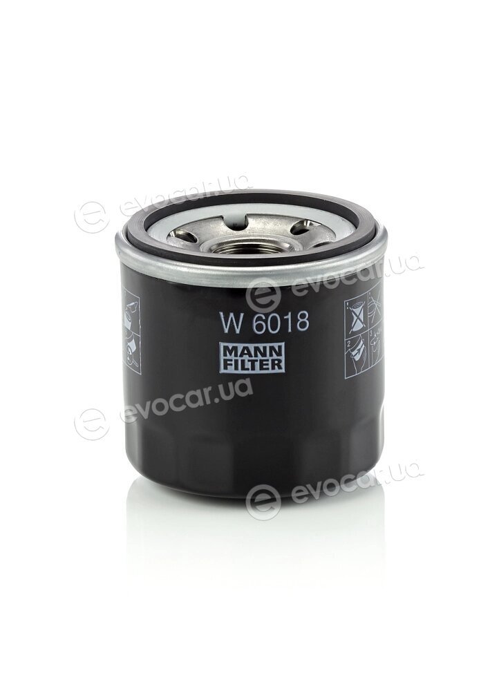 Mann W 6018