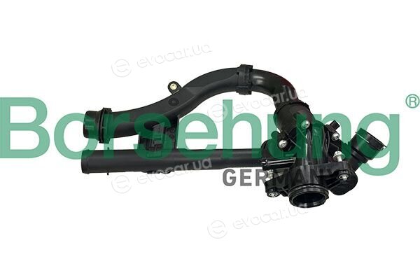 Borsehung B10566