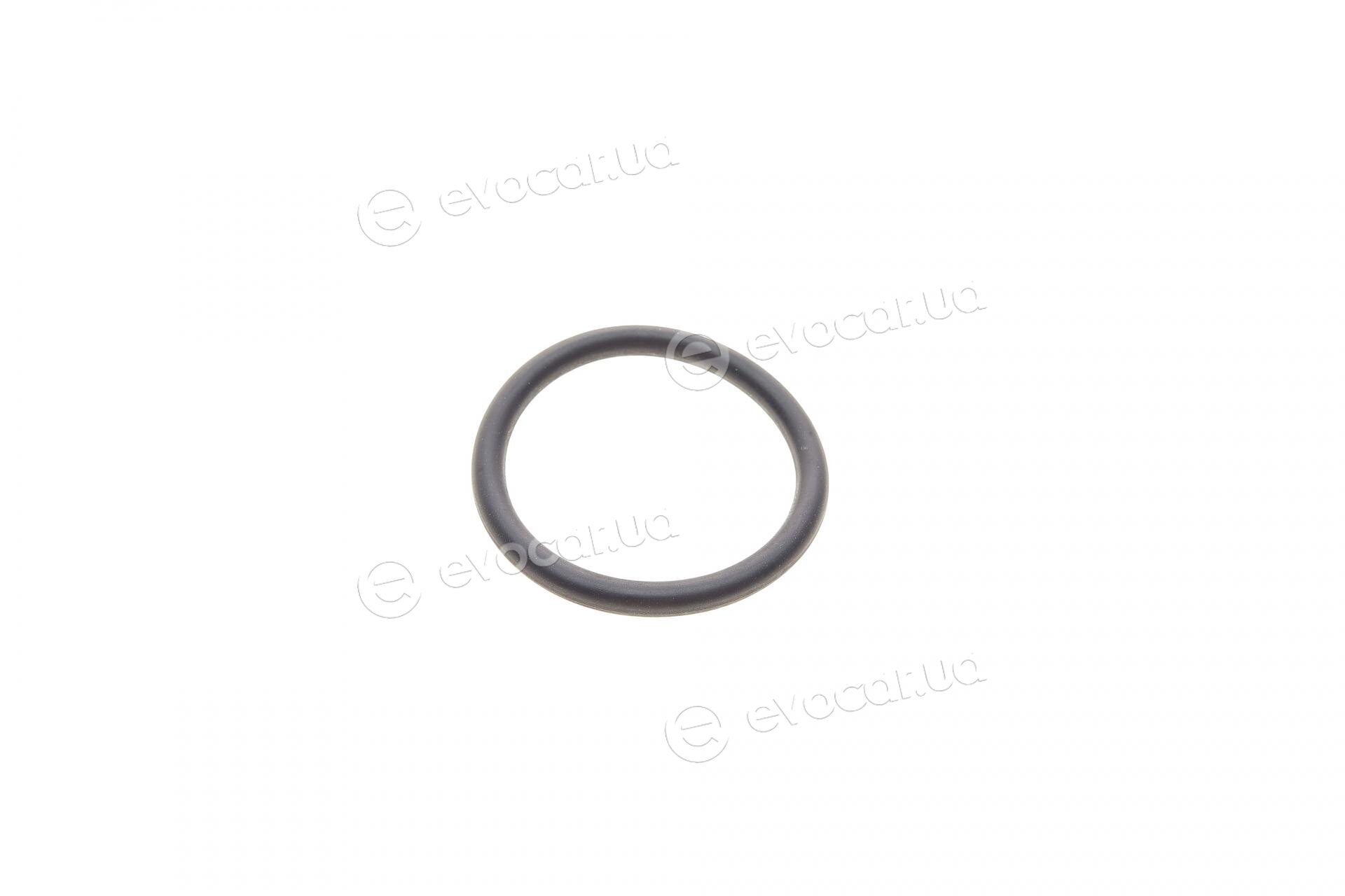 BMW / Mini 11428512434