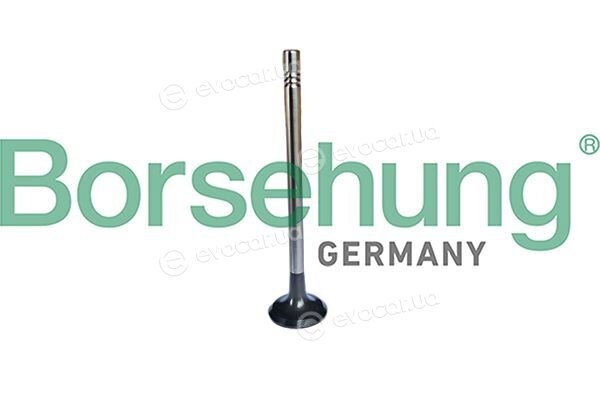 Borsehung B13247