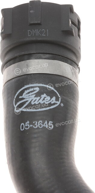 Gates 05-3645