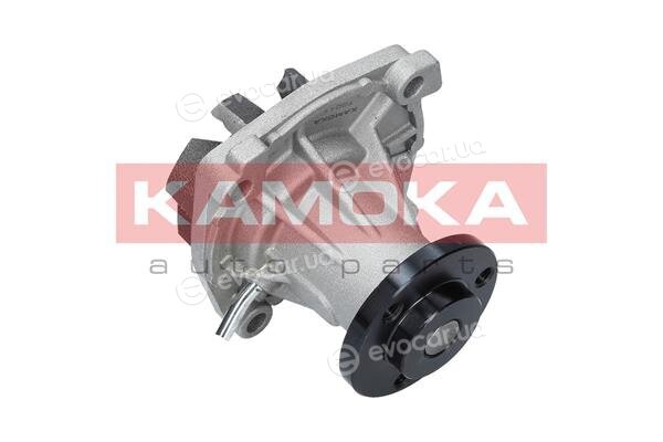 Kamoka T0011