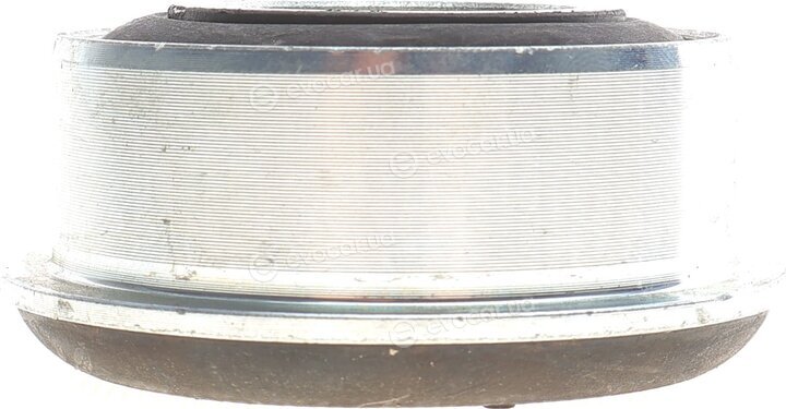 Fast OER 500350342