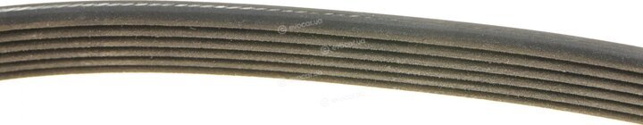 Dayco 6PK1775