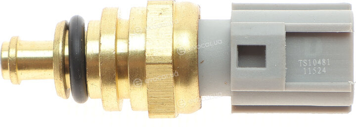 Delphi TS10481