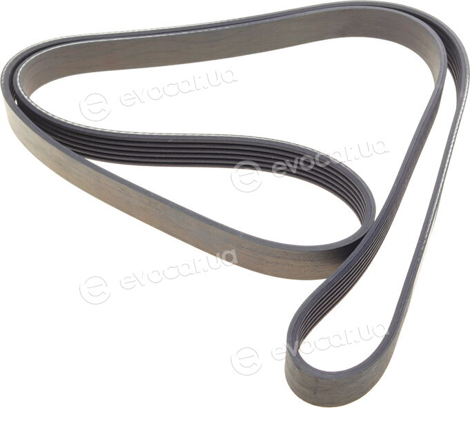 Dayco 6PK1565