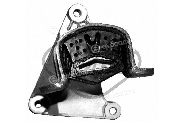 Metalcaucho / STC 05446
