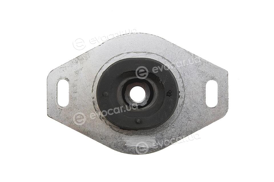 NTY ZPS-PE-009