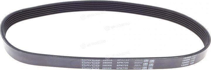 Dayco 6PK725