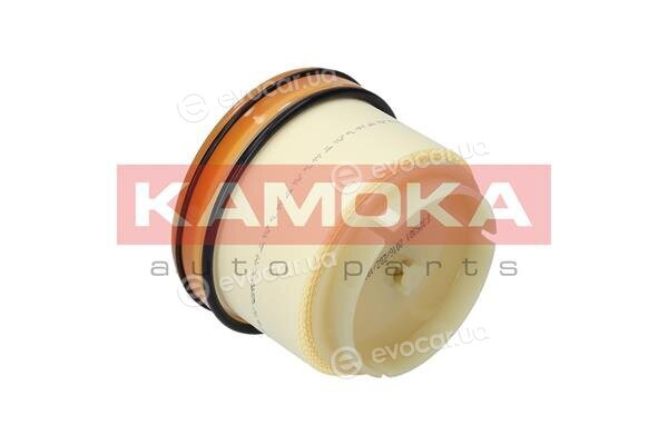 Kamoka F305301