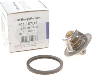 Wahler / BorgWarner 3017.87D2