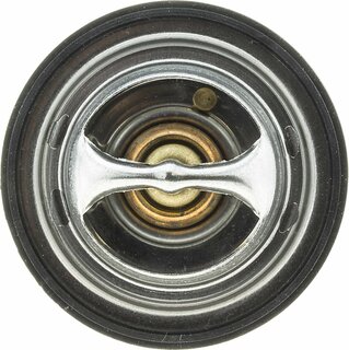Motorad 301-77K