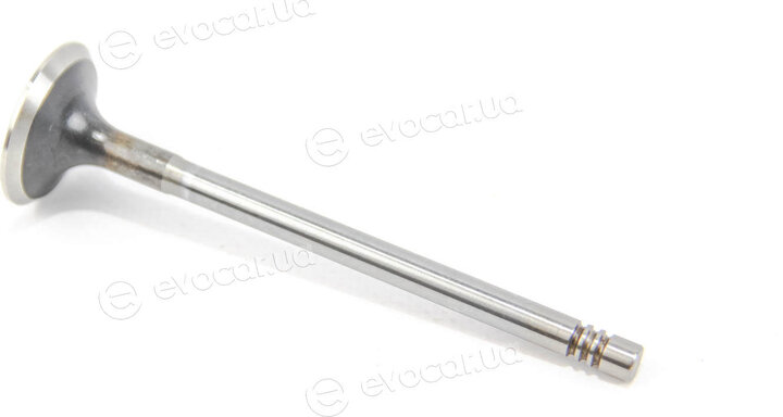 Mahle 029 VA 31101 100