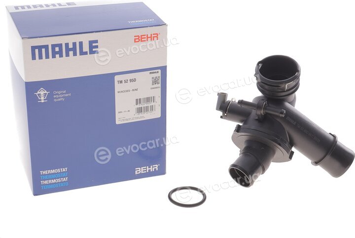 Mahle TM 52 95D