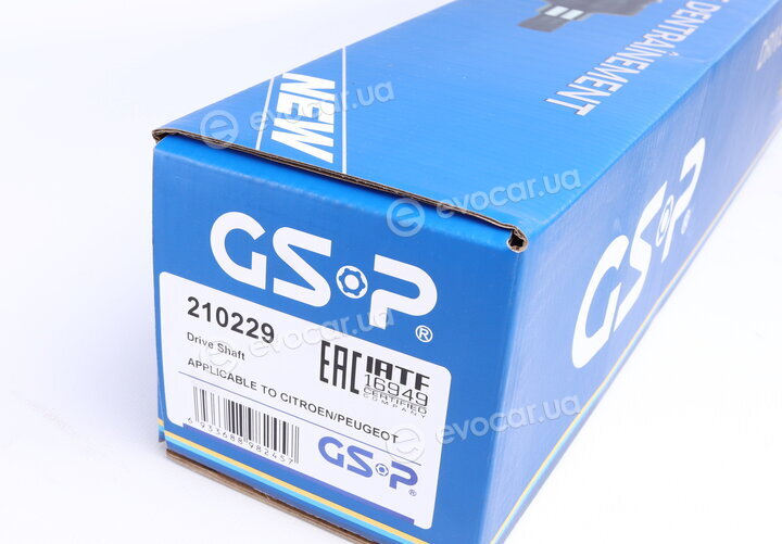 GSP 210229