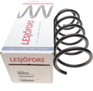 Lesjofors 4014206