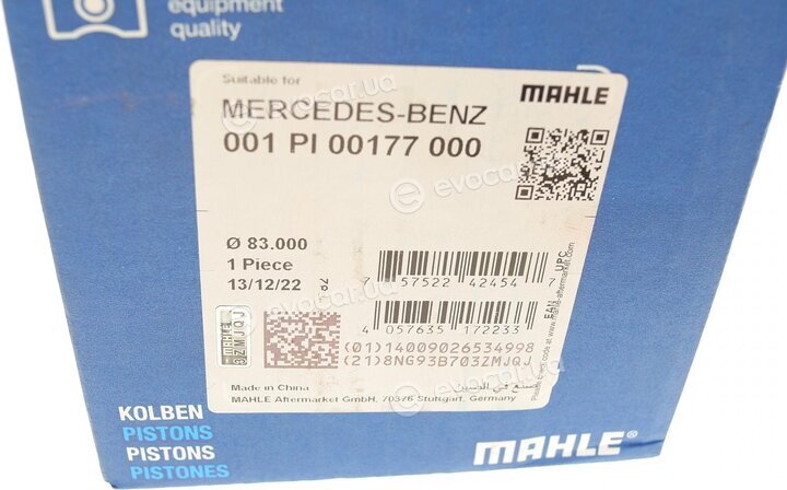 Mahle 001 PI 00177 000