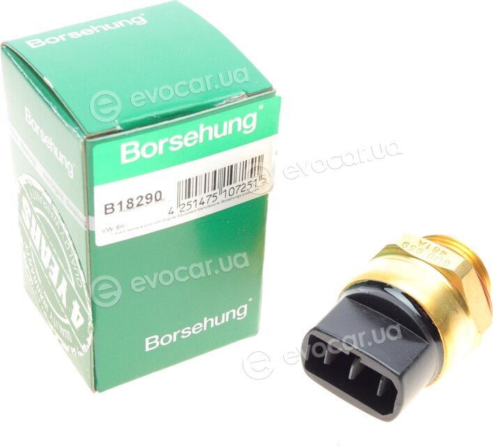 Borsehung B18290