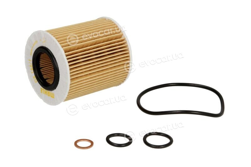Mahle OX 166/1D