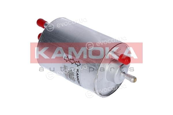 Kamoka F315901