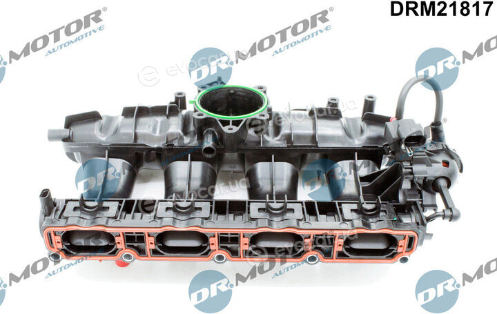 Dr. Motor DRM21817