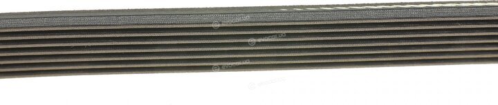 Dayco 7PK1127