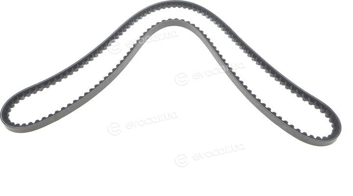 Dayco 13A1450HD
