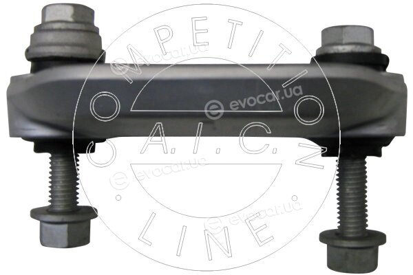 AIC 52466