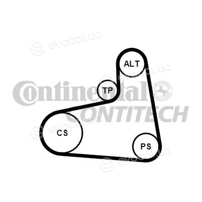 Continental 6PK906K3