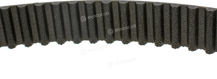 Gates K015563XS