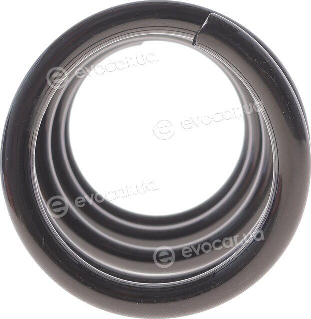 Solgy 212161