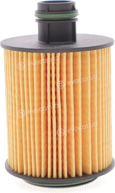 Hengst E124H02 D202