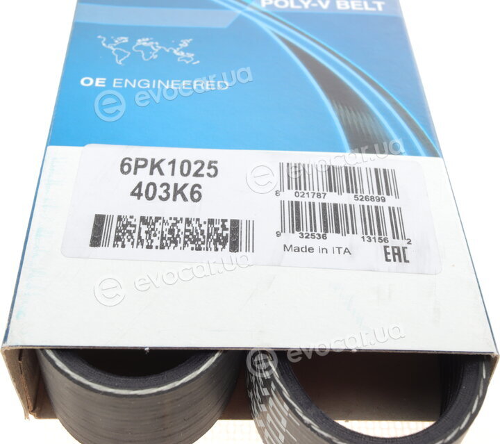 Dayco 6PK1025