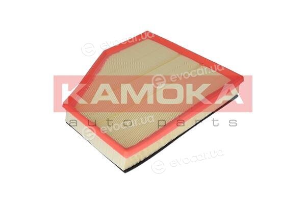 Kamoka F219601