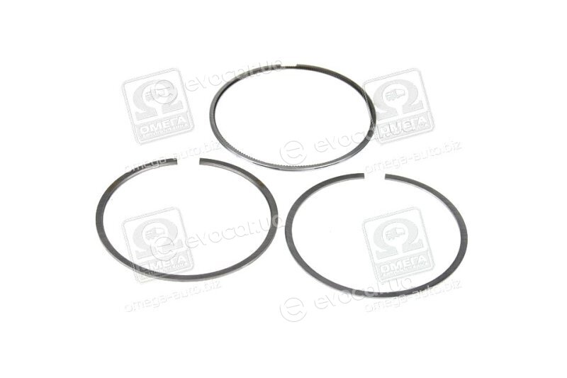 Mahle 030 31 N0