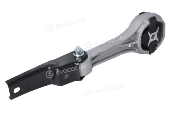 Reinhoch RH11-0170