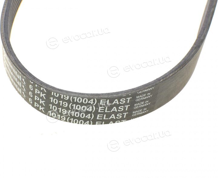 Continental 6PK1019 ELAST